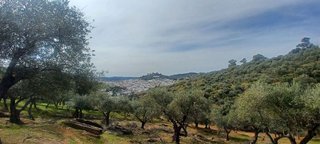 Terreno en venta en Constantina