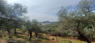 Terreno en venta en Constantina