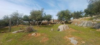 Terreno en venta en Constantina