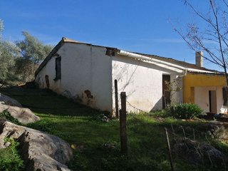 Terreno en venta en Constantina