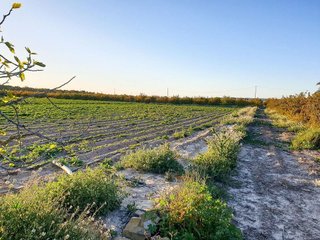 Terreno en venta en La Foia - Daimés - Asprella en Elche