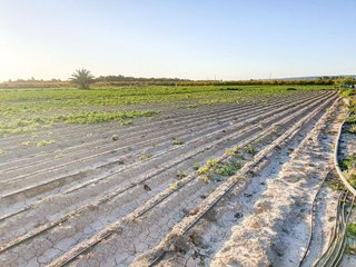 Terreno en venta en La Foia - Daimés - Asprella en Elche