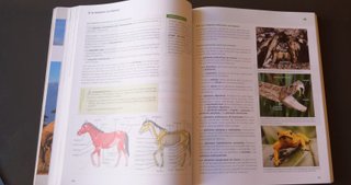 Libro Bachillerato Biología