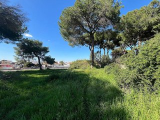 Terreno en venta en Oromana en Alcalá de Guadaira