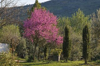 Chalet en venta en Zafra