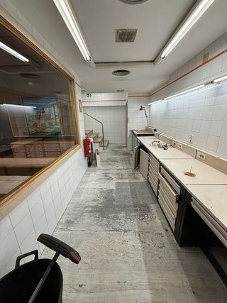 Local comercial en alquiler en Alfonso en Zaragoza