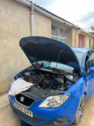 SEAT Ibiza 2010