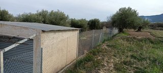 Terreno en venta en Moratalla