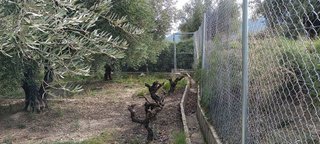 Terreno en venta en Moratalla