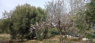 Terreno en venta en Moratalla