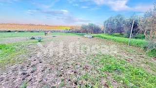 Terreno en venta en Carmona