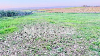 Terreno en venta en Carmona