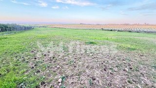 Terreno en venta en Carmona