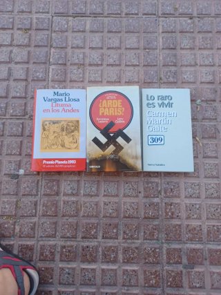 Novelas contemporáneas