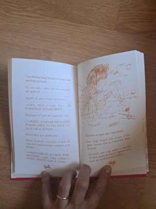 Junie B. Jones busca animal de companyia