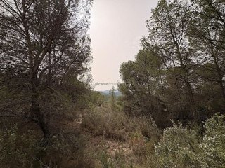Terreno en venta en Petrer
