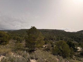 Terreno en venta en Petrer
