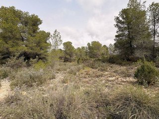 Terreno en venta en Petrer