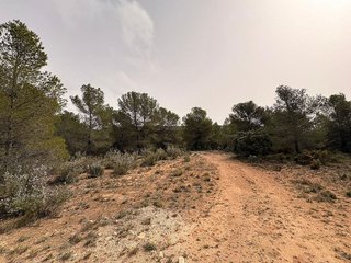 Terreno en venta en Petrer