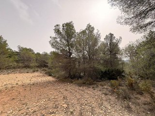 Terreno en venta en Petrer