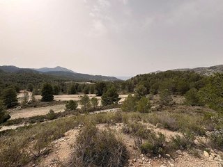 Terreno en venta en Petrer