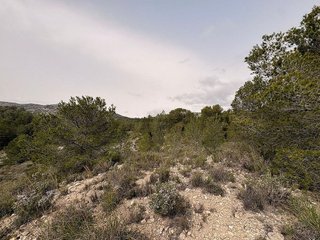 Terreno en venta en Petrer