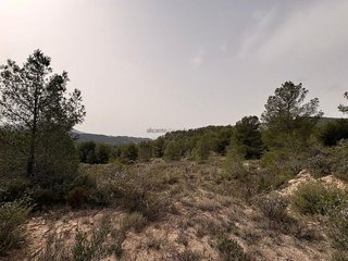 Terreno en venta en Petrer