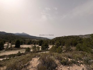 Terreno en venta en Petrer
