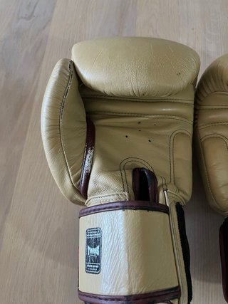 Guantes Boxeo Twins Special Muay Thai 14oz