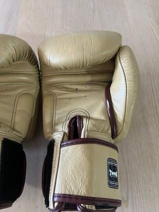 Guantes Boxeo Twins Special Muay Thai 14oz