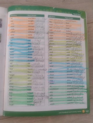 Lead the way pupil's book