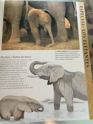 La enciclopedia de los animales