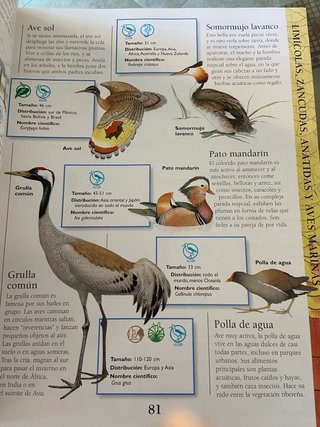 La enciclopedia de los animales
