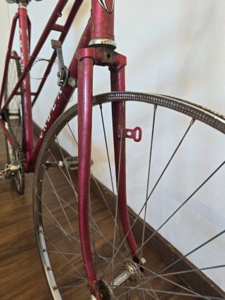 Orbea Luarca