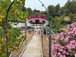 Chalet en venta en El Mayorazgo - El Limonar en Málaga