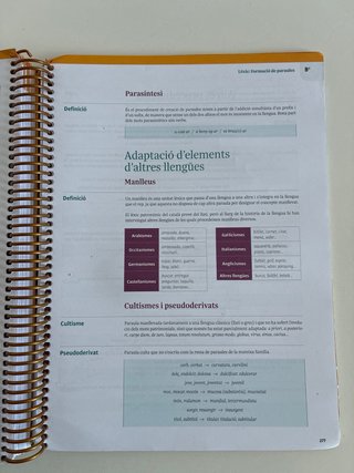 Llengua Catalana i Literatura 1