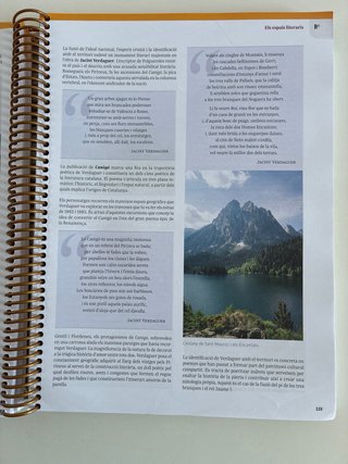 Llengua Catalana i Literatura 1