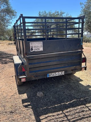 Remolque coche