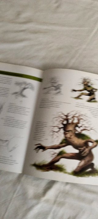 Disegnare e dipingere bestie fantasy. Ediz. ill...