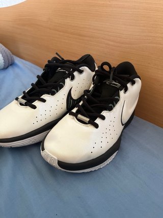 Nike Lebron XXI