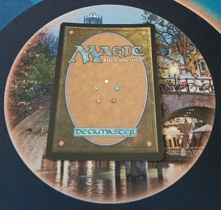 MAGIC FOIL - WEB OF LIFE AND DESTINY