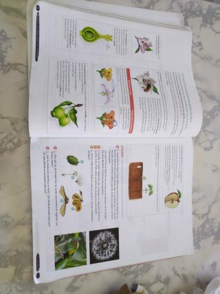 Biología y Geología 1º ESO. Libro del estudiant...