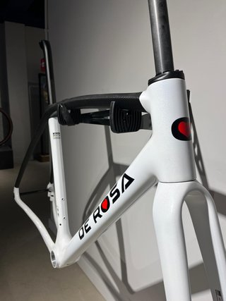 Cuadro De Rosa Idol