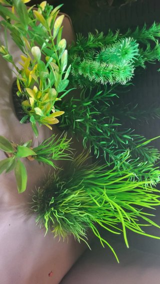Acuario 55 litros Completo