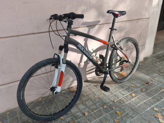 Bicicleta