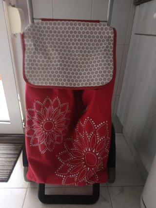 Carro de la compra rojo y gris