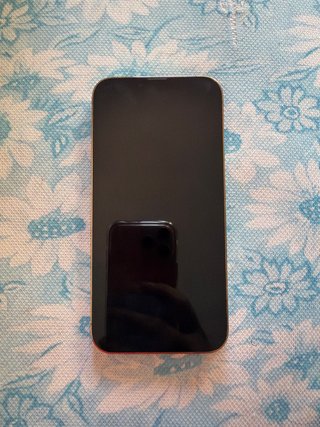 iPhone 13 Pro Max 256GB
