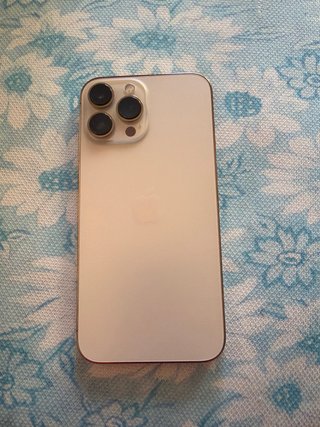 iPhone 13 Pro Max 256GB