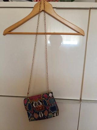 Bolso Serpiente Multicolor con Cadena Dorada