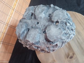 Maceta Bonsái Kurama